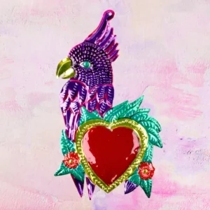 pappagallo cuore